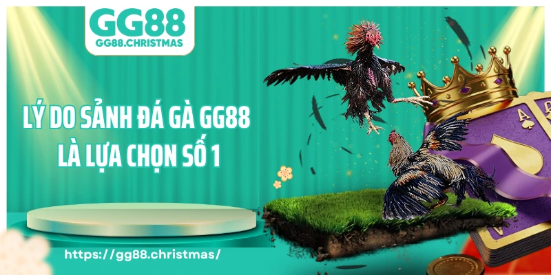 Lý do sảnh đá gà GG88 là lựa chọn số 1